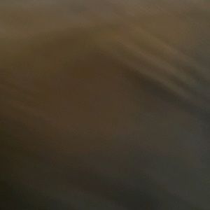 Meet your Posher, Cassandra